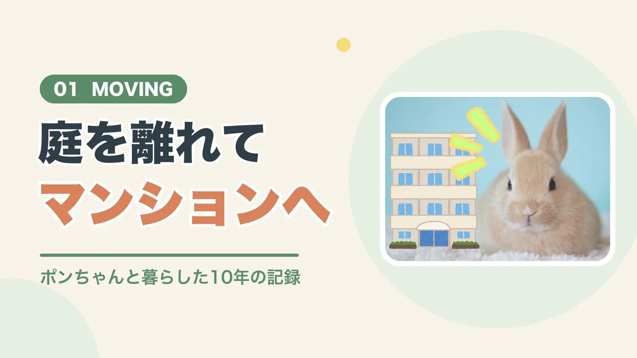 うさぎとマンションへ引っ越し（マンションとうさぎの画像）