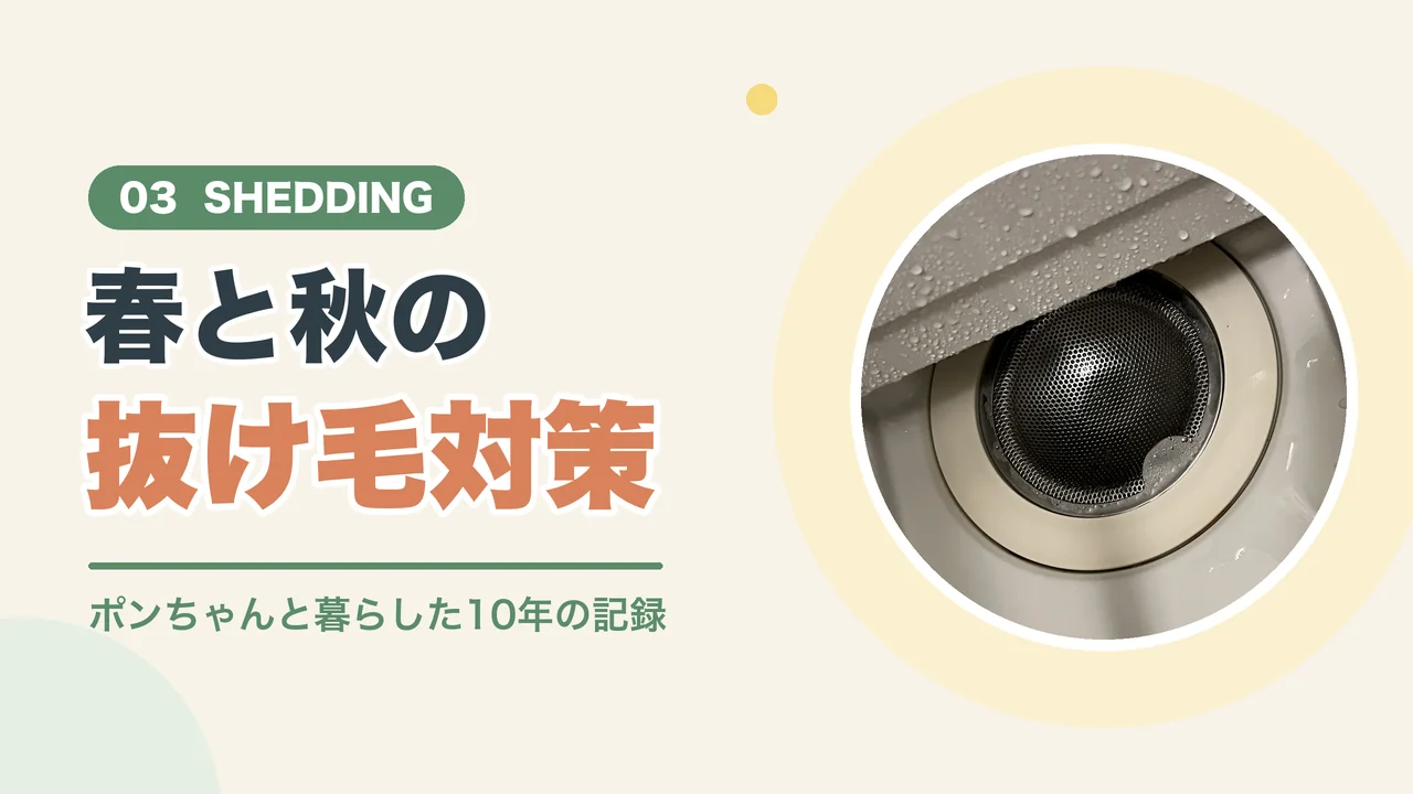 マンションのうさぎの抜け毛対策（排水口につけたパンチングのヘアキャッチャー）