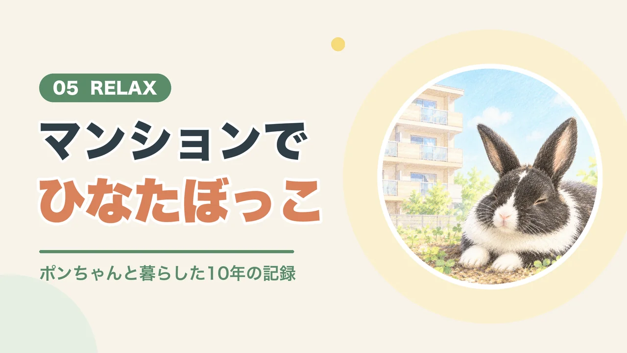マンションでのうさぎの過ごし方（マンションの前でひなたぼっこをする白黒のうさぎのイラスト）