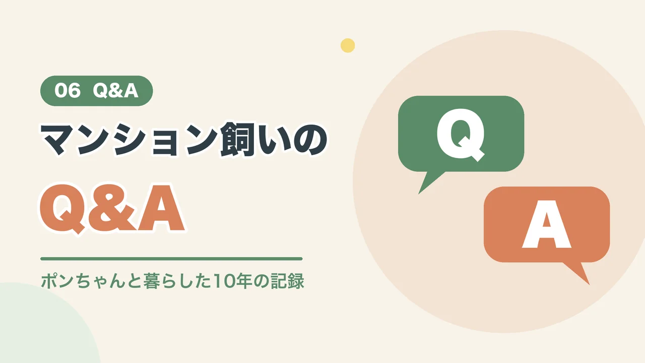 うさぎのマンション飼いについてのよくある質問