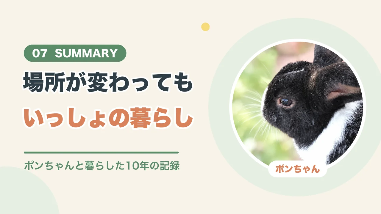 うさぎとマンションのまとめ（ポンちゃんの横顔）