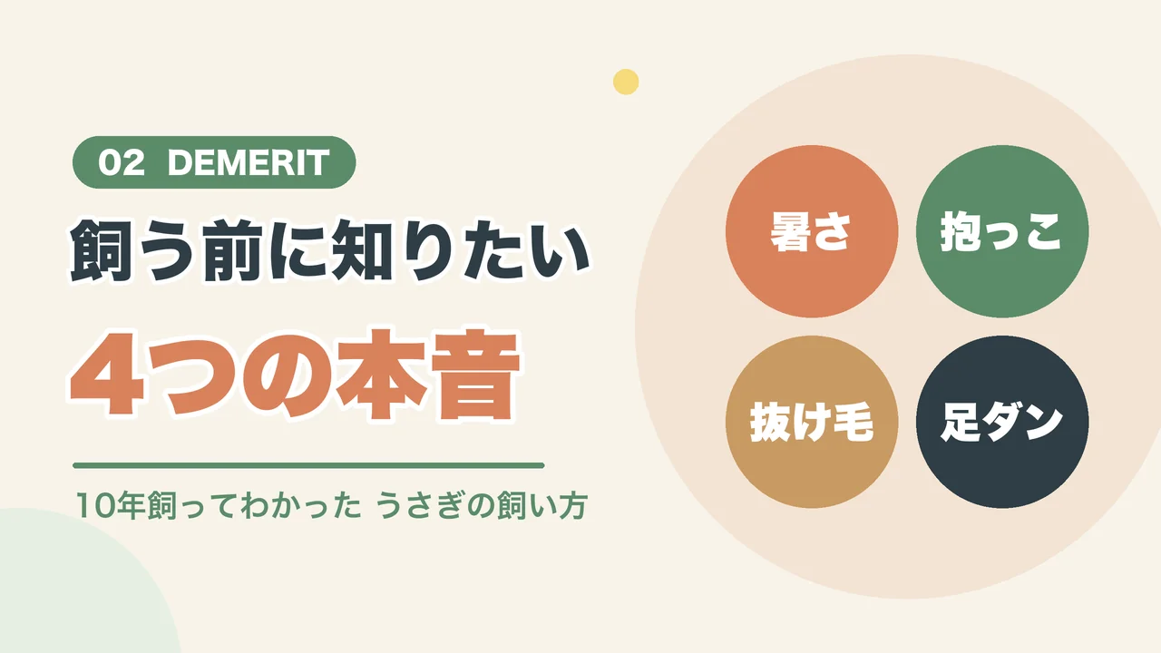 うさぎを飼うデメリットは暑さ、抱っこ、抜け毛、足ダンの4つ