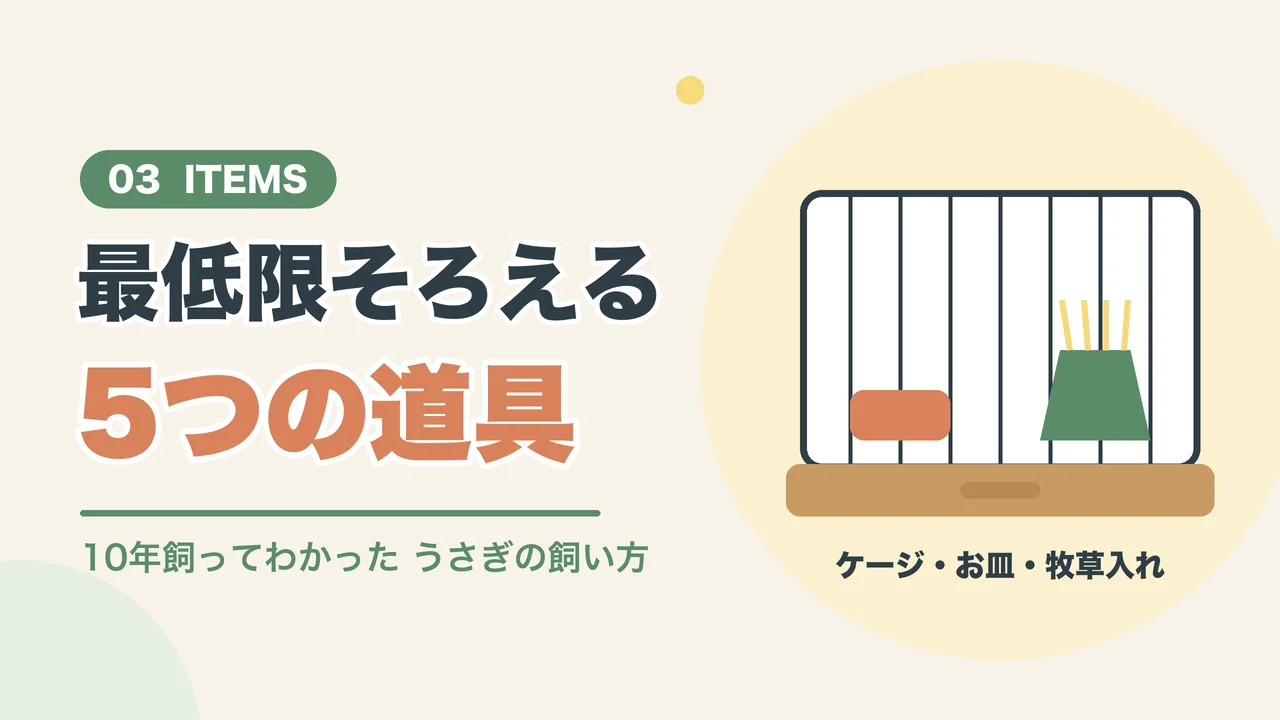うさぎの飼い方に必要なケージやお皿、牧草入れなどの道具