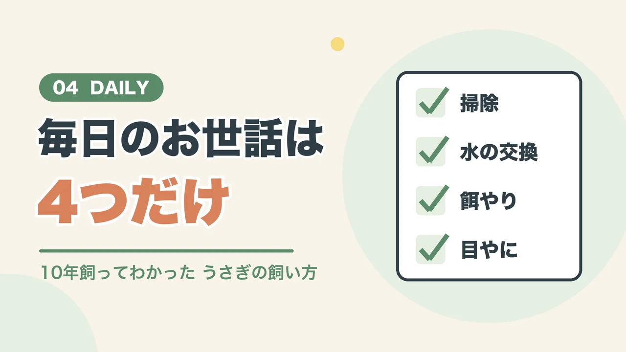 うさぎの毎日のお世話は掃除、水の交換、餌やり、目やにチェックの4つ