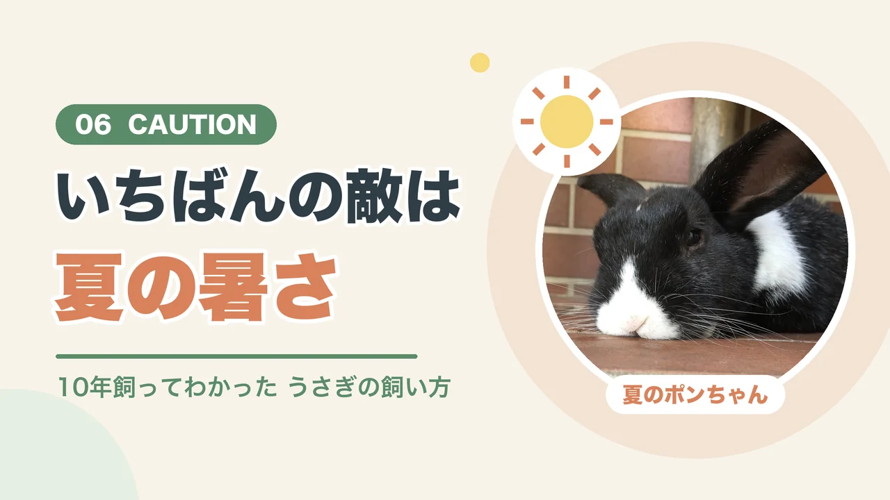 うさぎの飼い方でいちばん気をつけたい夏の暑さ（暑さでぐったりするポンちゃん）