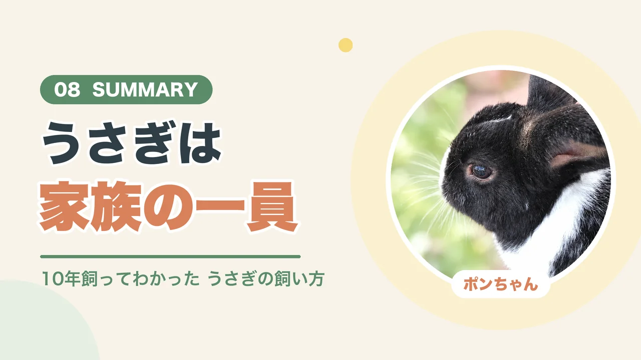 うさぎは家族の一員（ポンちゃんの横顔）