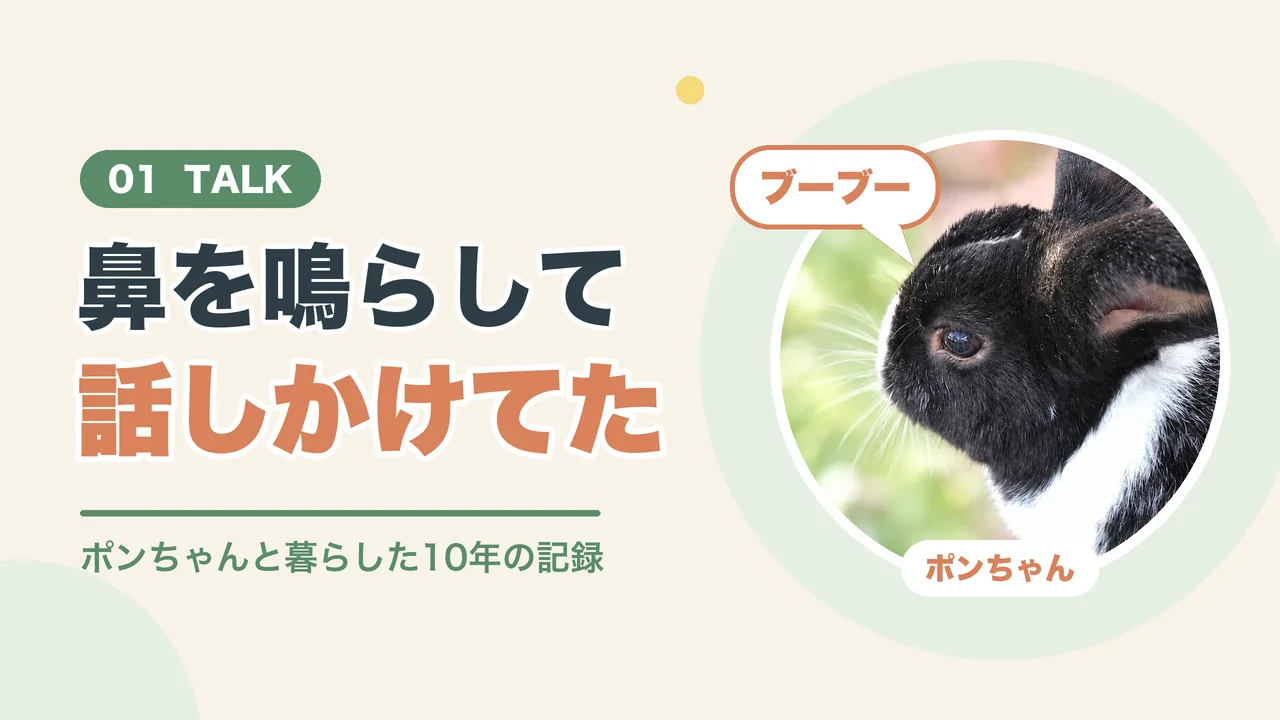 鳴かないうさぎは鼻を鳴らして話しかけている(ポンちゃんの横顔)