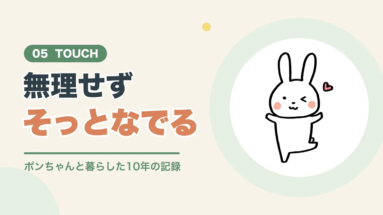 うさぎとふれ合うコツは無理せずそっとなでること(ウインクするうさぎのイラスト)