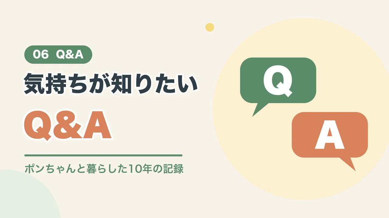 うさぎの気持ちについてのよくある質問