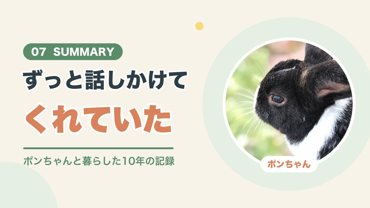 うさぎはずっと話しかけてくれていた(ポンちゃんの横顔)