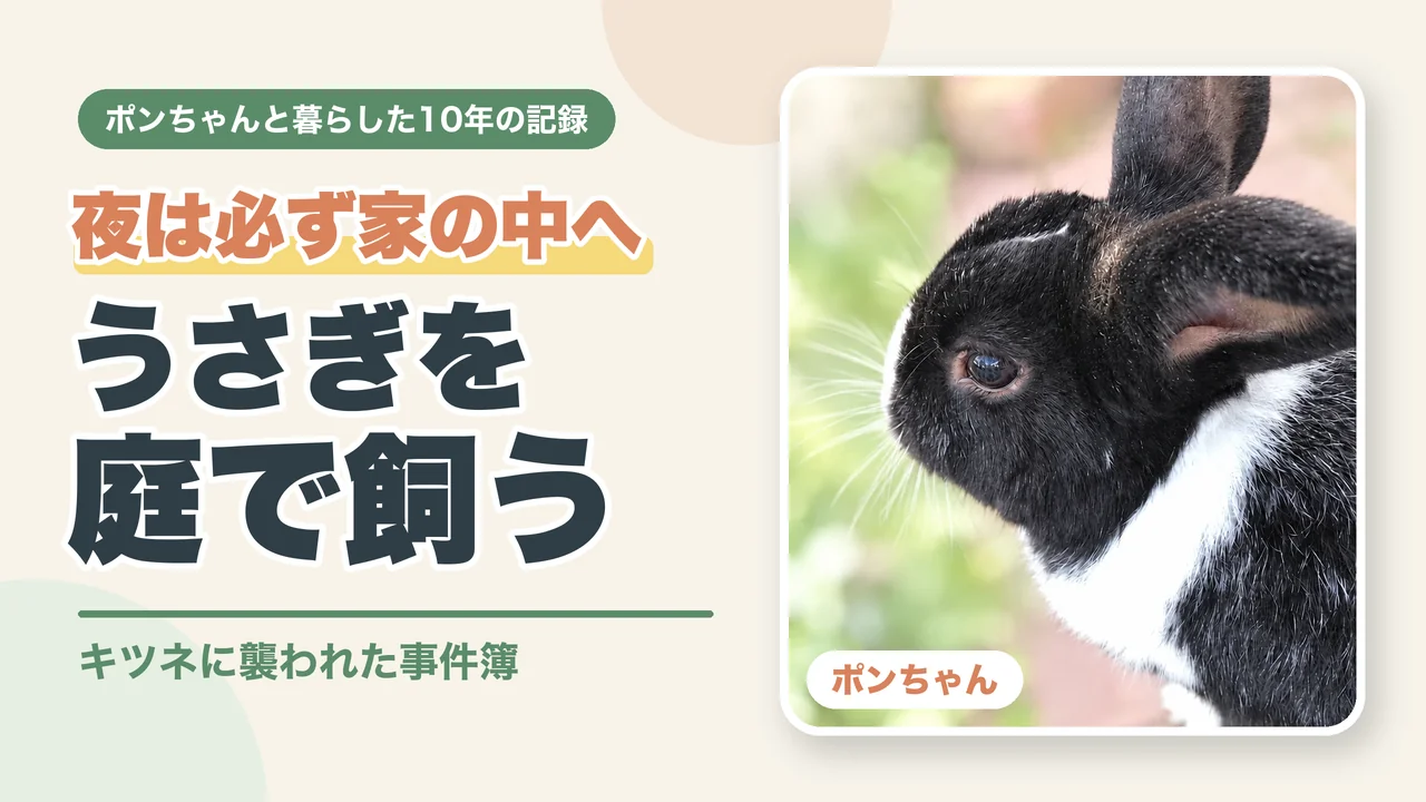 夜は必ず家の中へ うさぎを庭で飼う前に キツネに襲われた事件簿（ポンちゃんの横顔）