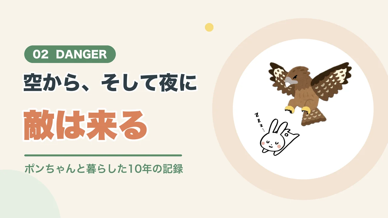 うさぎを庭で飼う危険(眠るうさぎを空から狙うタカのイラスト)
