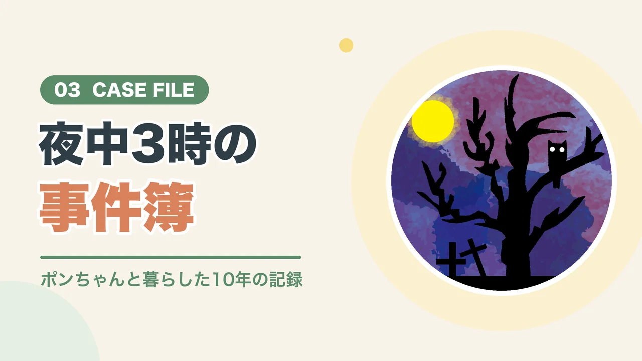夜中の3時に庭でうさぎが襲われた3つの事件簿(月夜の木とフクロウのイラスト)