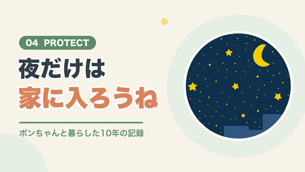 うさぎを庭で守る対策は夜だけは家に入れること(星空のイラスト)