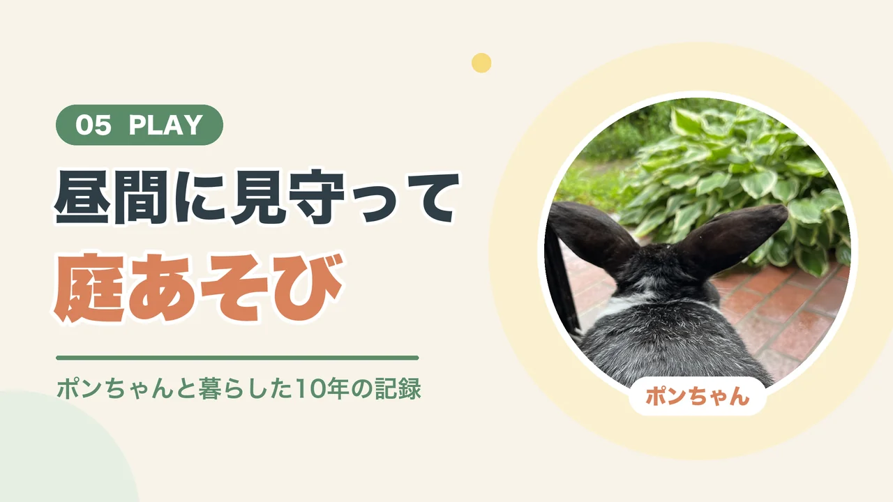 うさぎを庭で遊ばせるコツは昼間に見守ること(庭をながめるポンちゃんの後ろ姿)