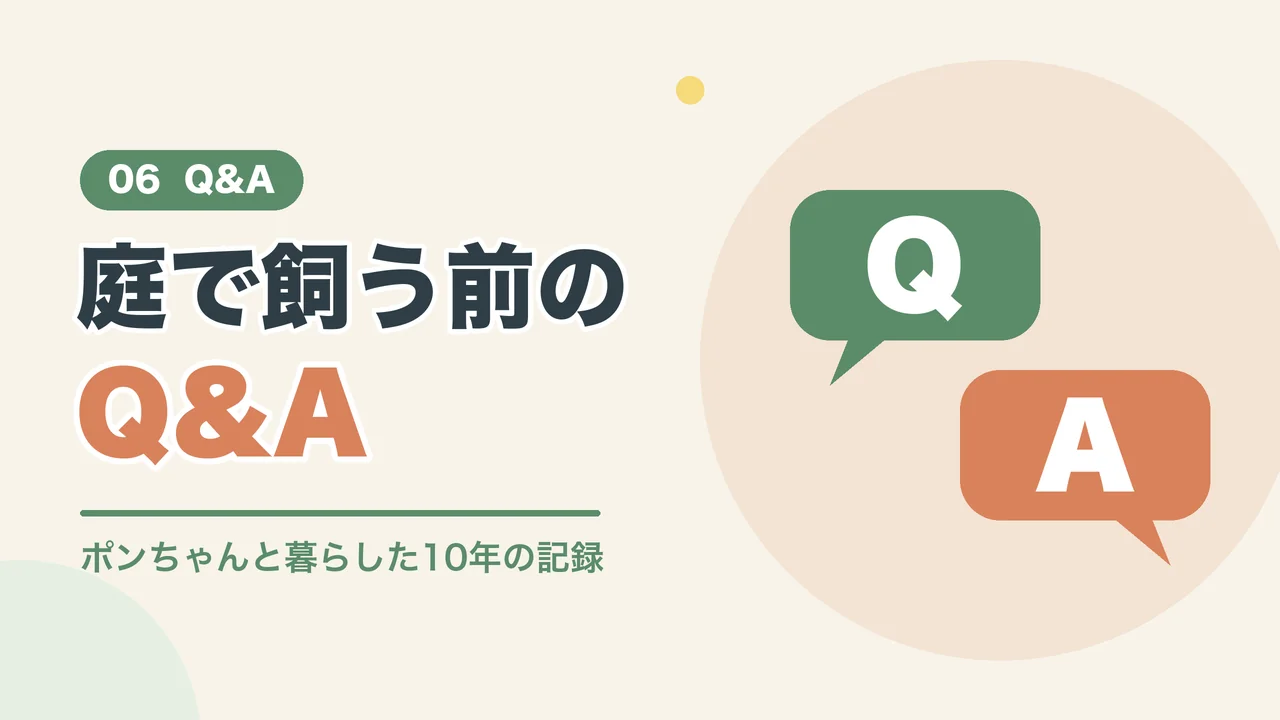 うさぎの庭飼いについてのよくある質問