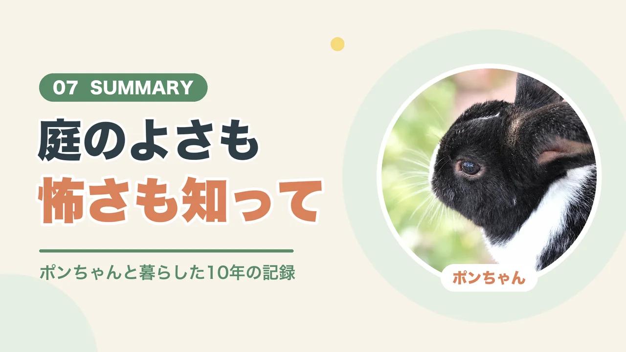 うさぎを庭で飼うなら庭のよさも怖さも知っておきたい(ポンちゃんの横顔)