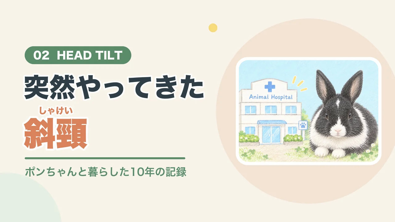 突然やってきたうさぎの斜頸（動物病院の前にいる白黒のうさぎのイラスト）