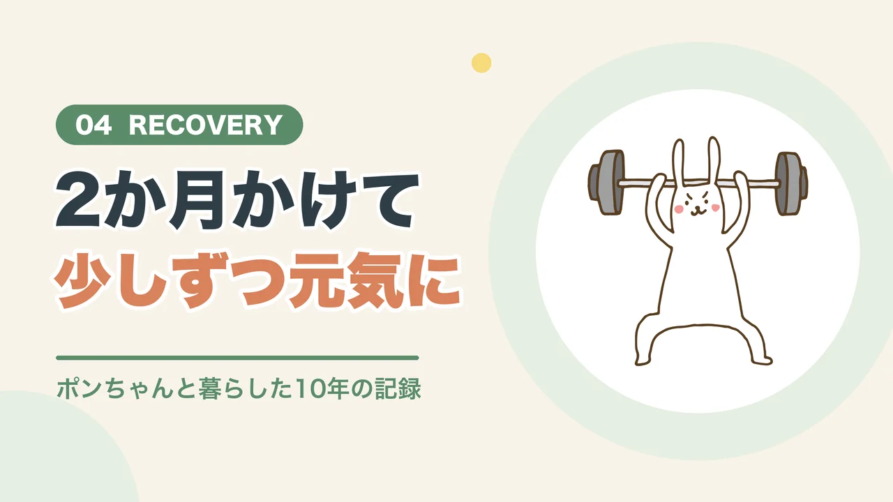 斜頸からの回復とグルーミング（バーベルを持ち上げる元気なうさぎのイラスト）