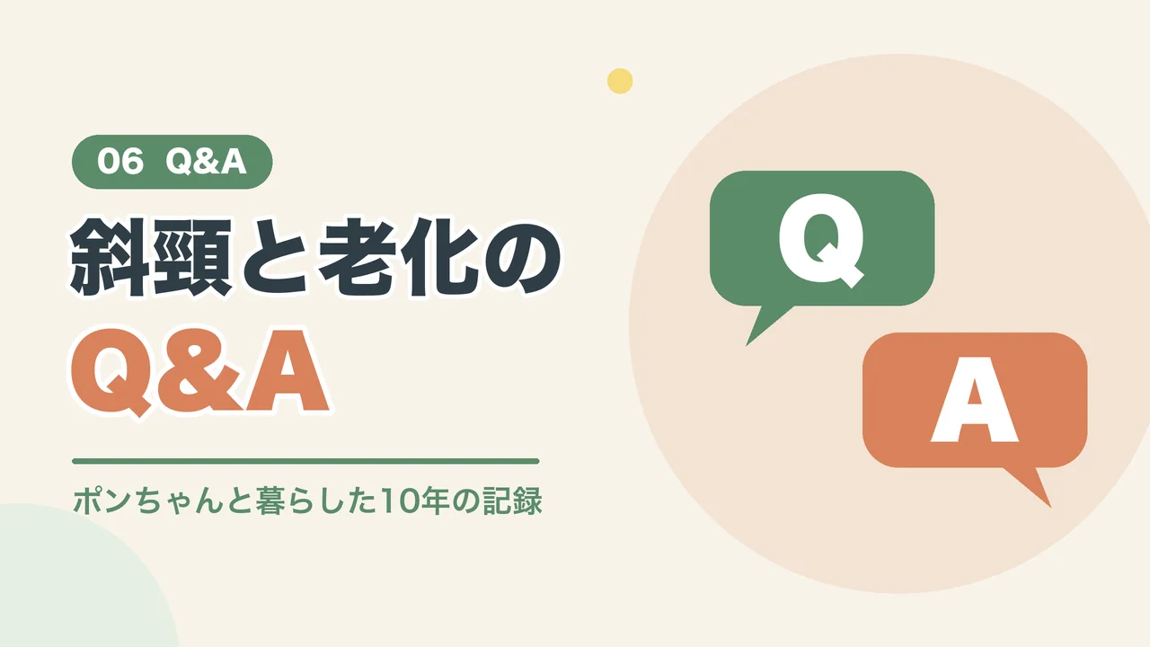 うさぎの斜頸と老化についてのよくある質問