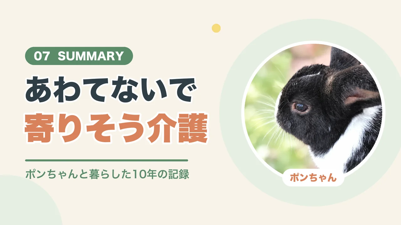 うさぎの斜頸と老化のまとめ（ポンちゃんの横顔）